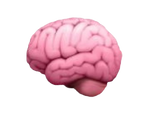 Puzzles & problem-solving activities